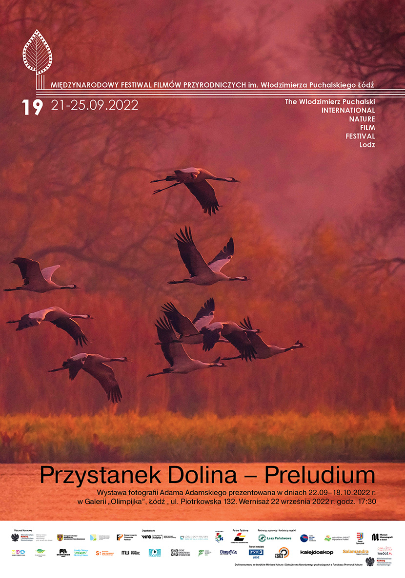 Plakat Przystanek dolina 1